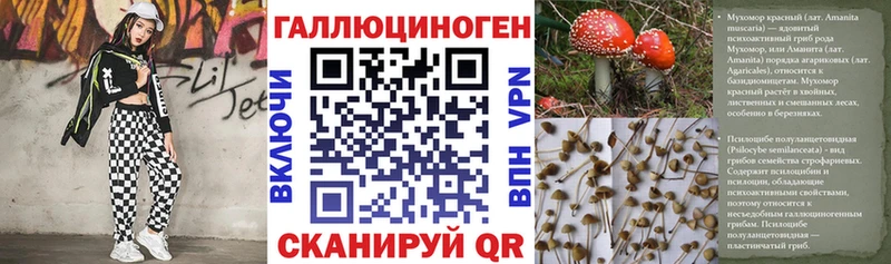 Псилоцибиновые грибы мицелий дарк нет Telegram Алупка